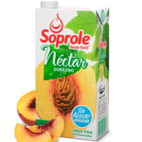 Nectar soprole durazno 1 lt caja