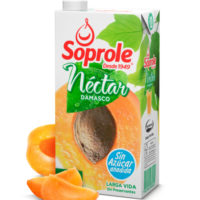 Nectar soprole damasco 1 lt caja