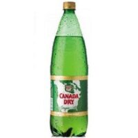 Bebida ginger ale 1.5 lts desechable