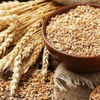ARROZ Y CEREALES
