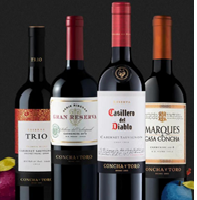 BOTELLAS